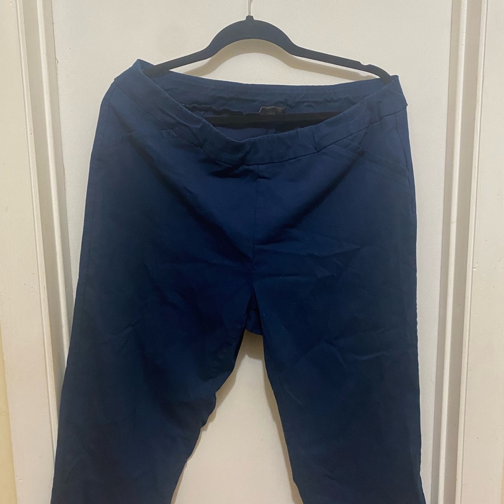 Briggs crop Blue Pants